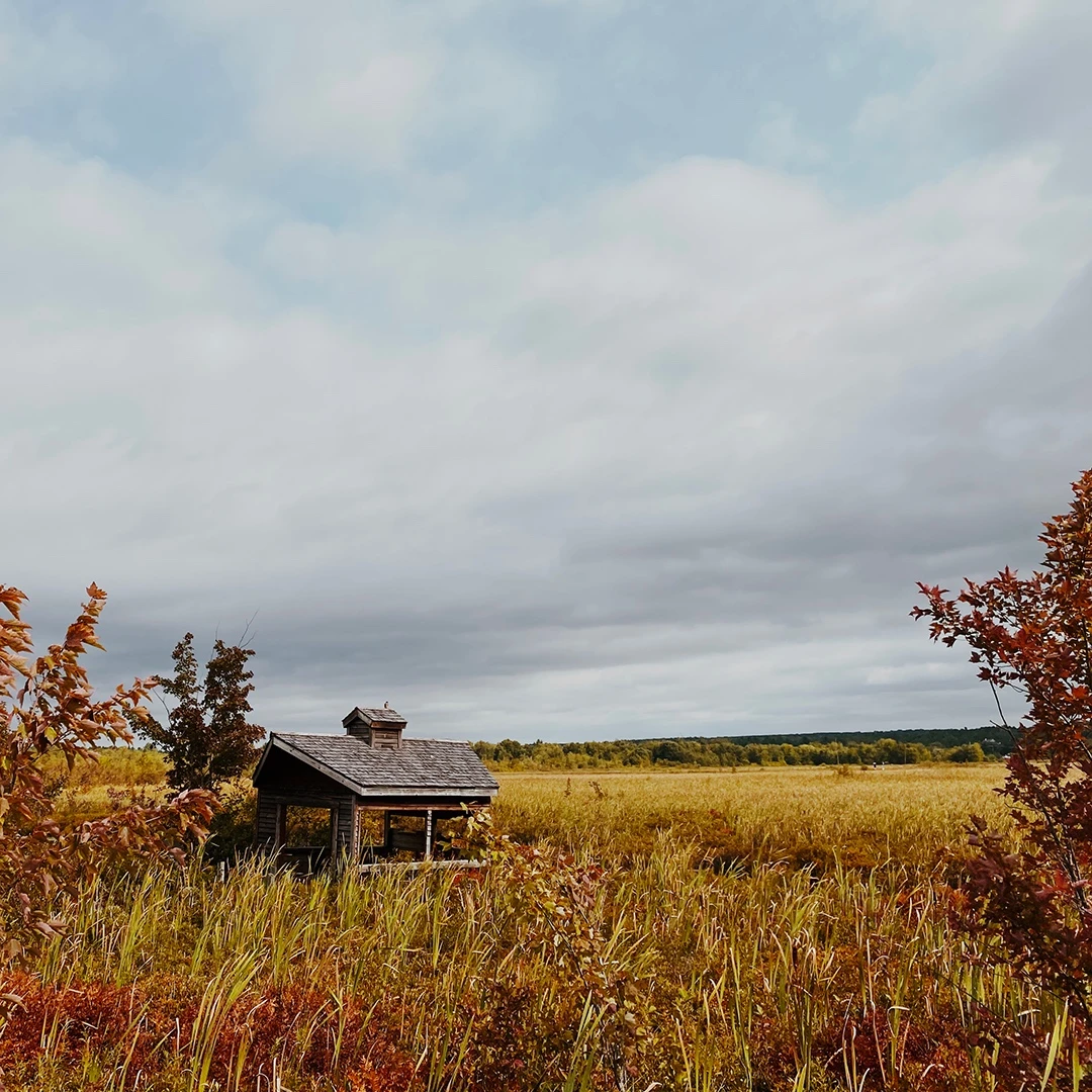 A small weathered cabin sitting alone in a wide autumn field of tall grass under a moody cloudy sky
