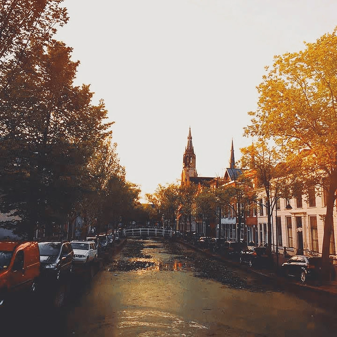A tree-lined canal street bathed in golden hour light with a church steeple rising in the distance