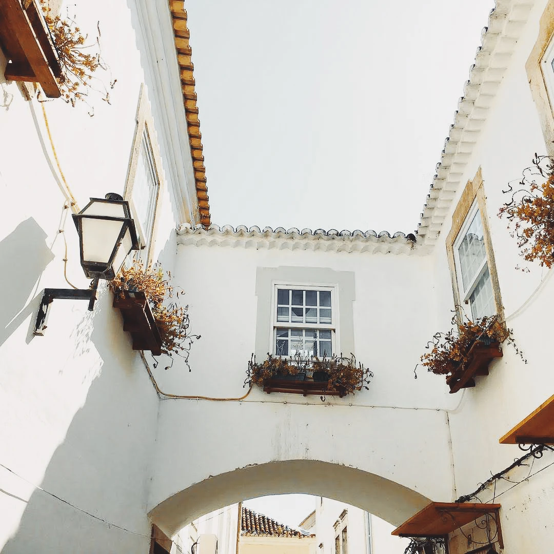 Looking up at a white arched passageway with hanging dried flower boxes and a wrought iron lantern