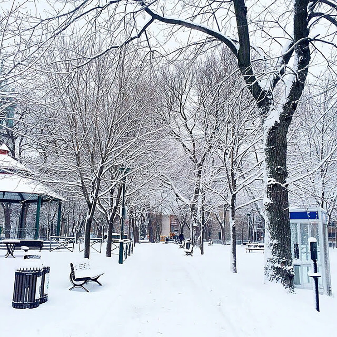 A snow-covered park path lined with bare trees, a gazebo and benches buried in fresh white snow