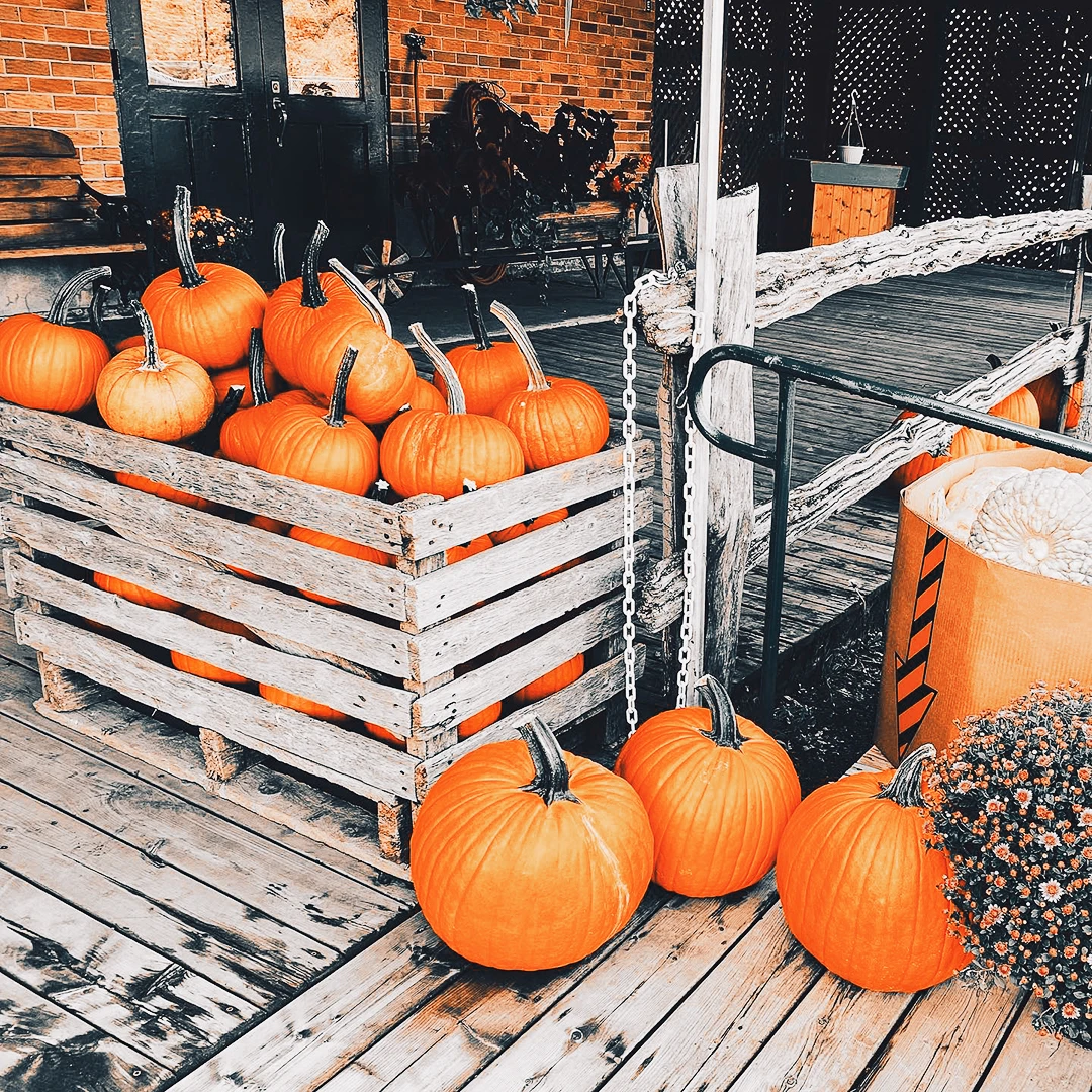 Wooden crates and steps overflowing with bright orange pumpkins on a rustic farmhouse porch in autumn