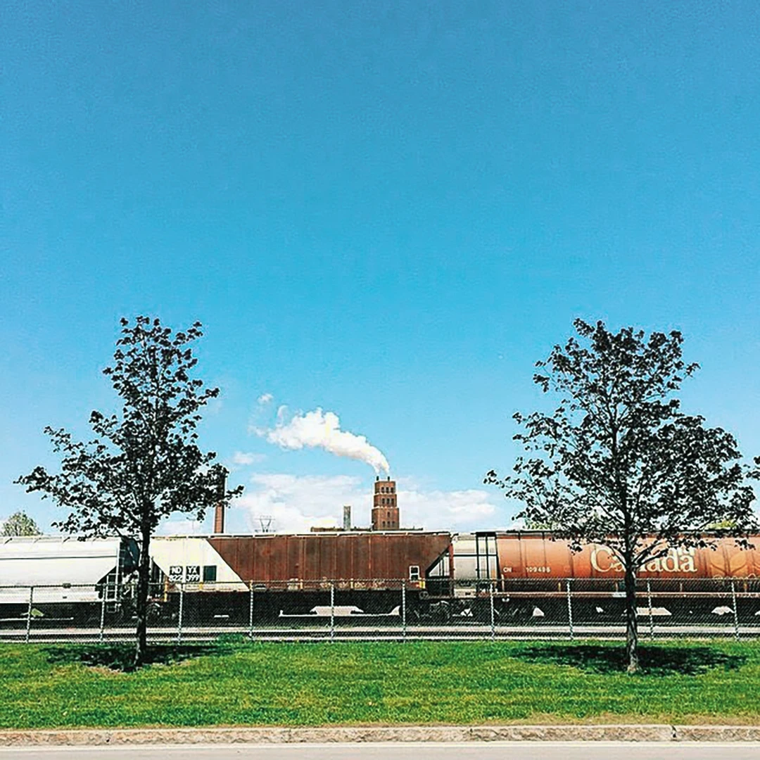 A freight train passing behind two symmetrical trees on a flat green lawn under a vivid blue sky with a factory chimney smoking in the distance