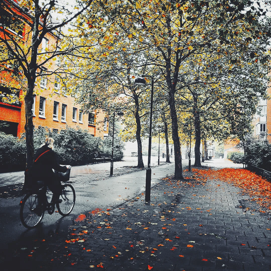 A cyclist rides down a leaf-scattered brick path beneath amber autumn trees in a European city