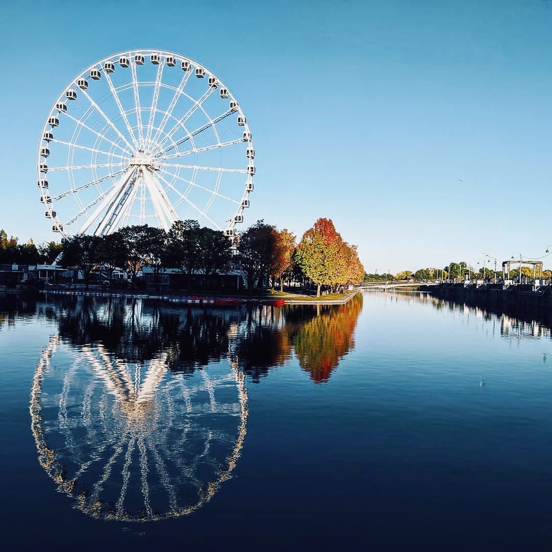 A large Ferris wheel perfectly reflected in a calm river, flanked by autumn trees under a clear blue sky
