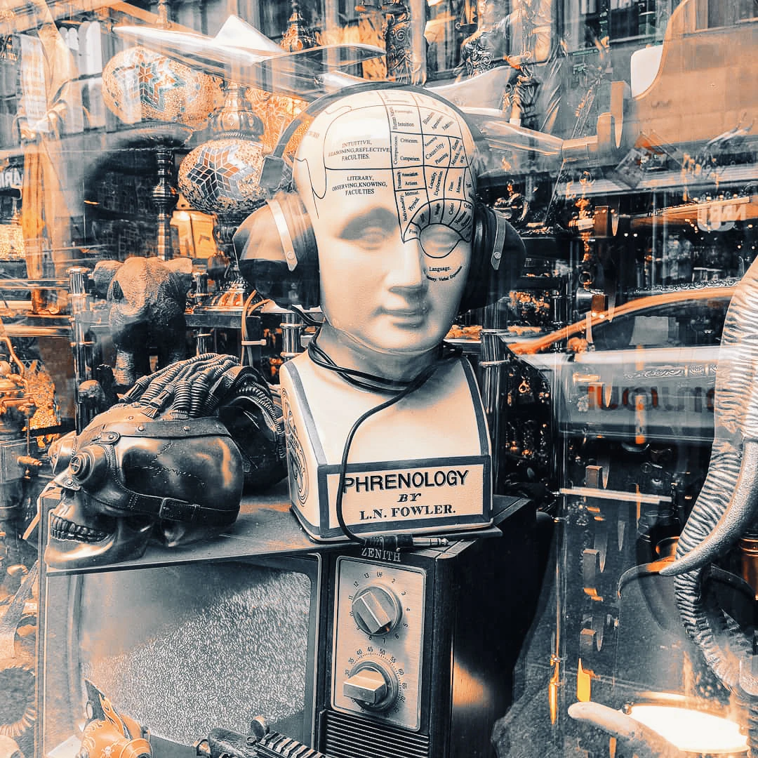 A phrenology bust with a mapped skull sits in a cluttered antique shop window bathed in warm orange light