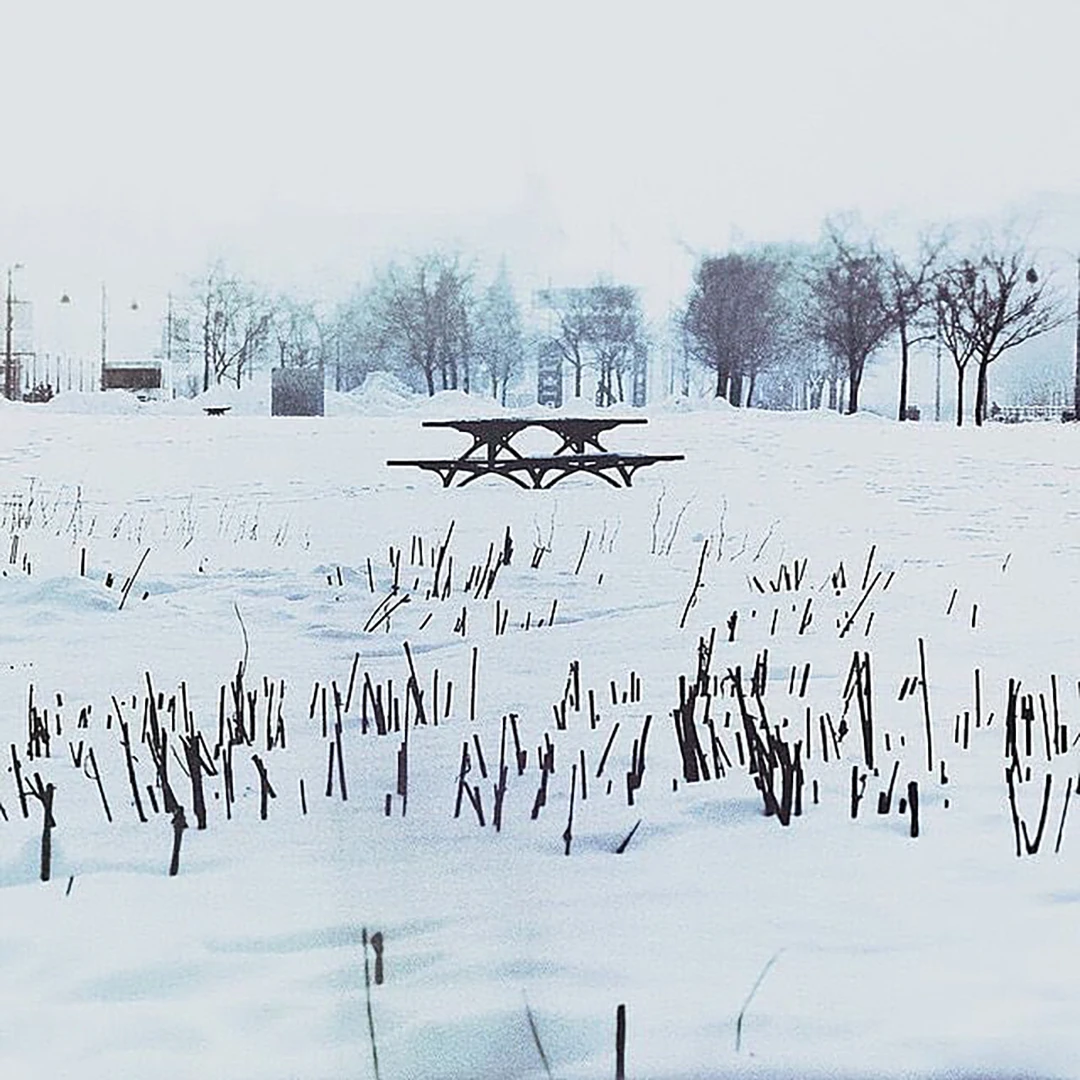 A lone picnic table sits buried in snow in a desolate winter park, bare trees and frozen reeds in the foreground