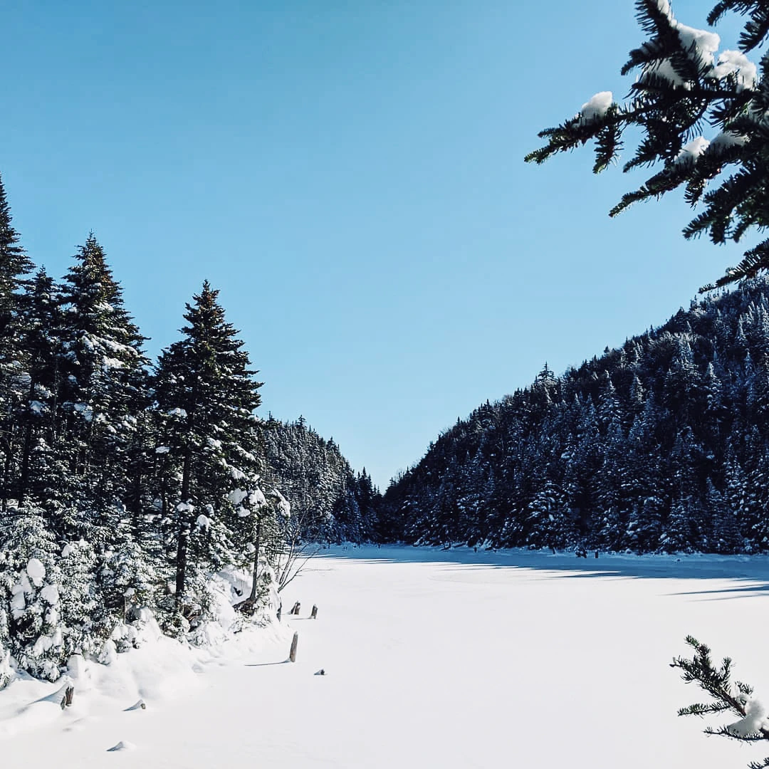 A frozen lake surrounded by snow-laden pine trees and forested hills under a crisp clear blue winter sky