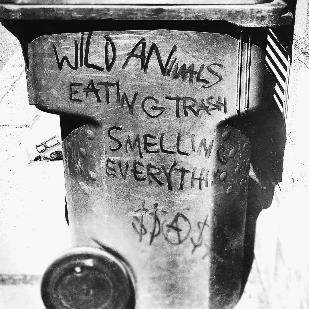 Black and white graffiti on a trash can reading Wild Animals Eating Trash Smelling Everything