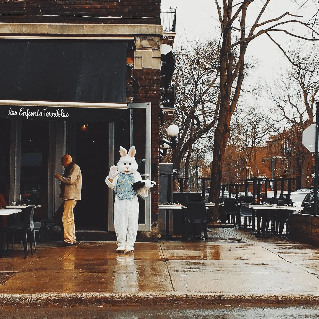 Person in an Easter bunny costume standing outside a restaurant on a grey rainy day