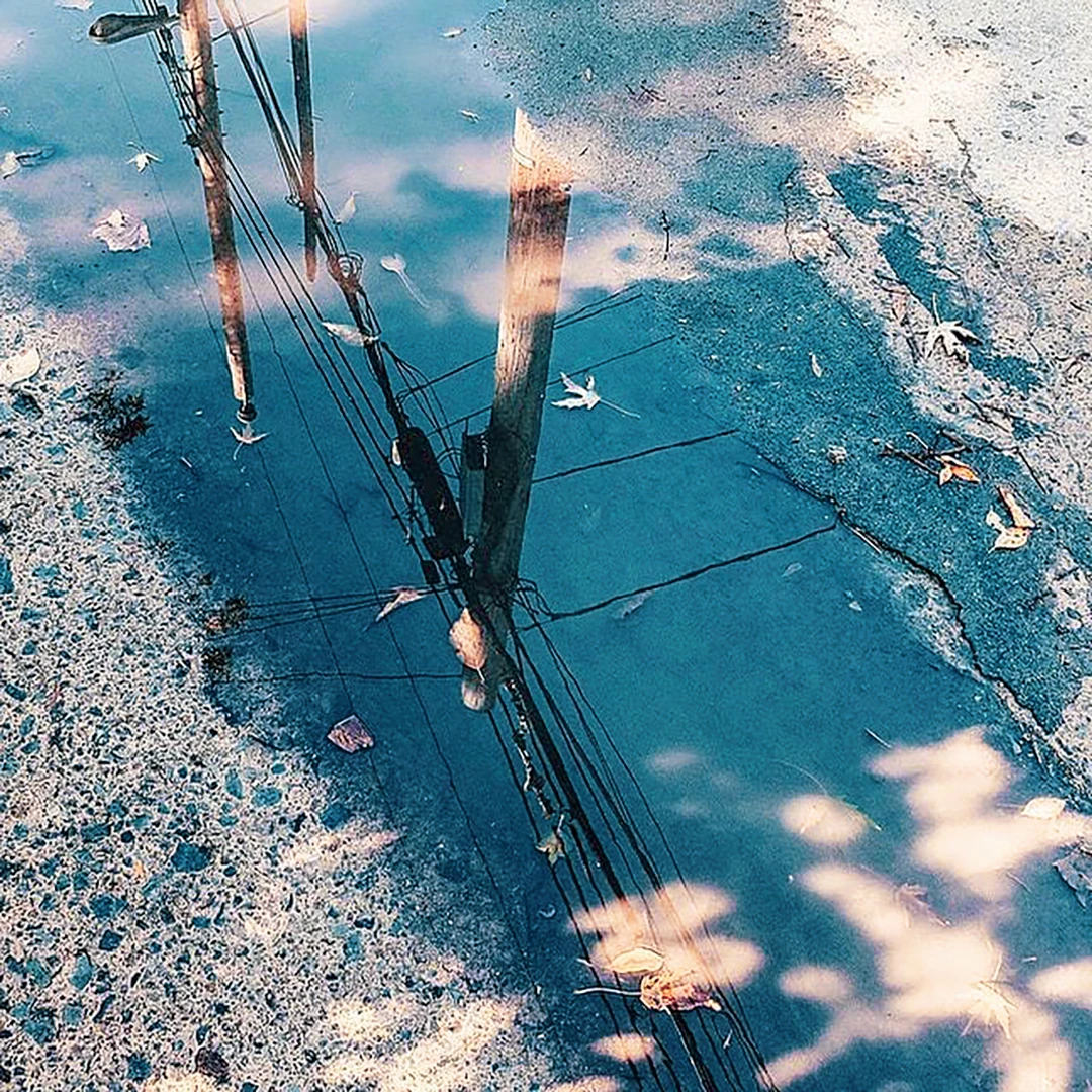 Power lines and a telephone pole reflected in a rain puddle surrounded by fallen autumn leaves