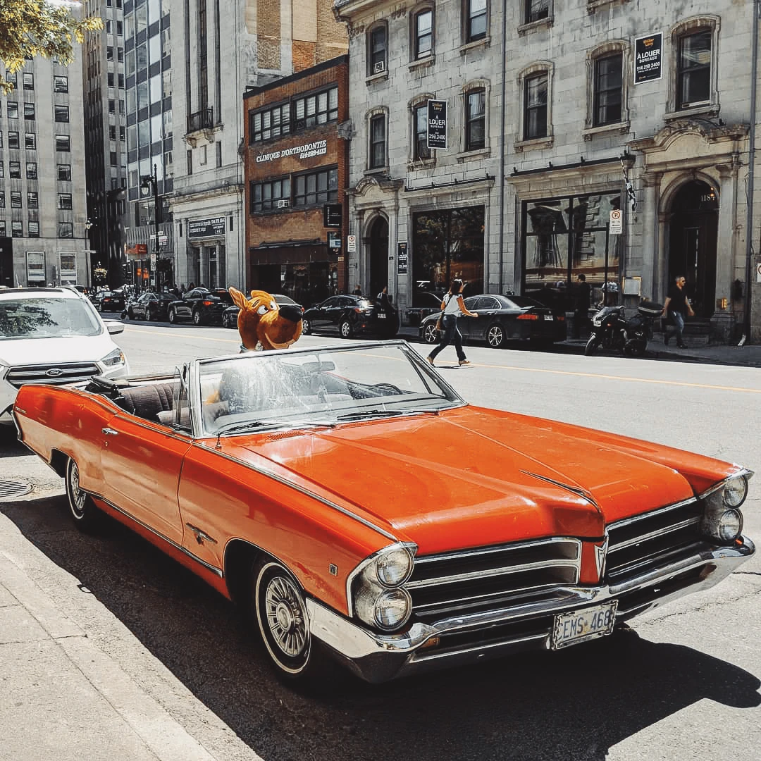 A bright orange vintage convertible parked on a city street with a stuffed bear in the passenger seat