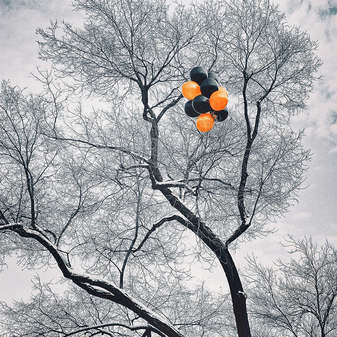 A cluster of orange and black balloons tangled in the bare branches of a frost-covered tree against a grey sky