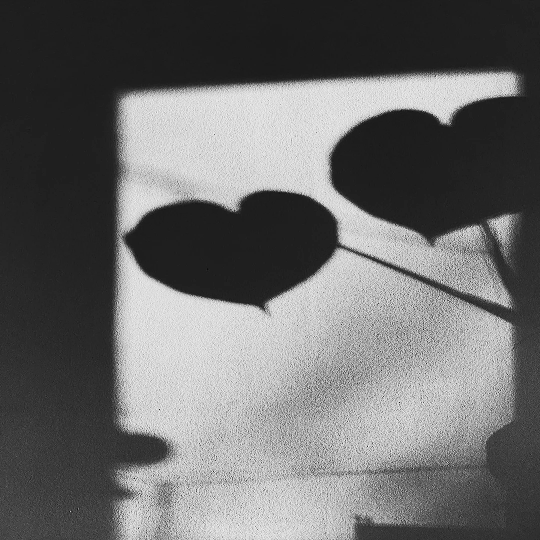 Black and white shadow of two heart-shaped leaves cast on a sunlit wall through a window