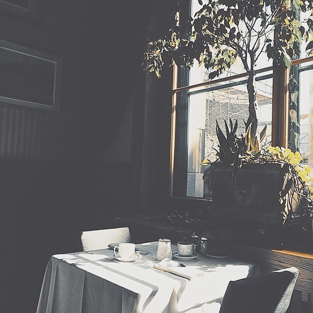 A sunlit restaurant table set for two beside a large window with a lush indoor tree casting soft shadows