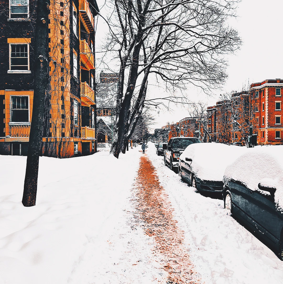 A residential street buried in deep snow, cars lined up along red-brick buildings after a heavy snowfall
